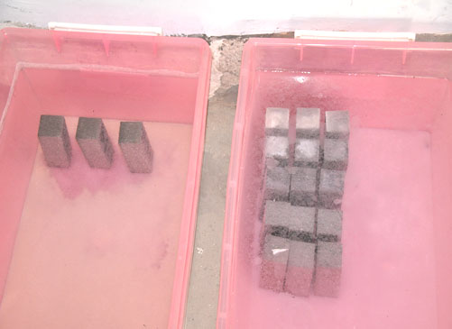 ��׼������